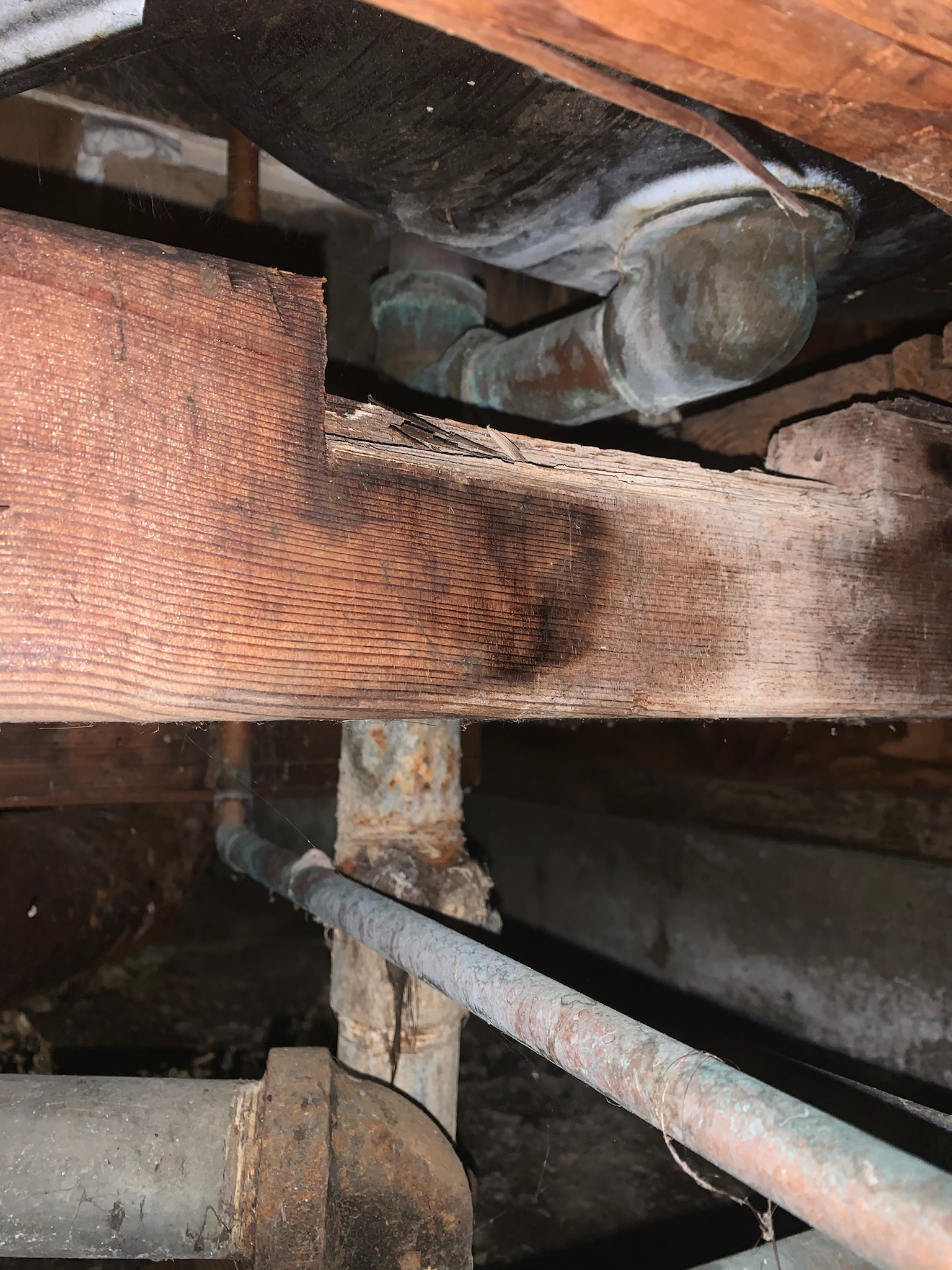 ./assets/img/gallery/img/img-d (1).jpg